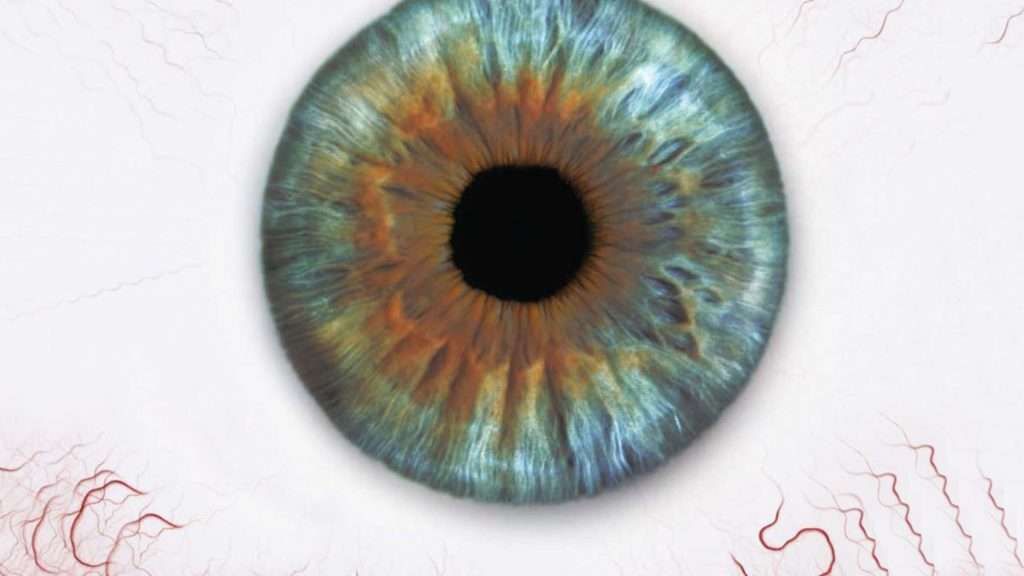 Министр транспорта борется с вождением в состоянии наркотического опьянения