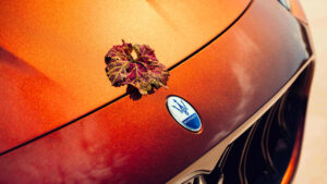 Maserati Grecale Tributo Il Bruciato - передний значок.