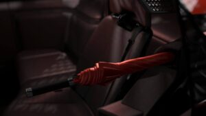 Toyota Century Coupe - держатель зонтиков.