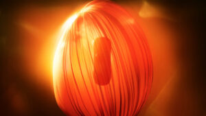 Toyota Century - силуэт, созданный в стиле Century.