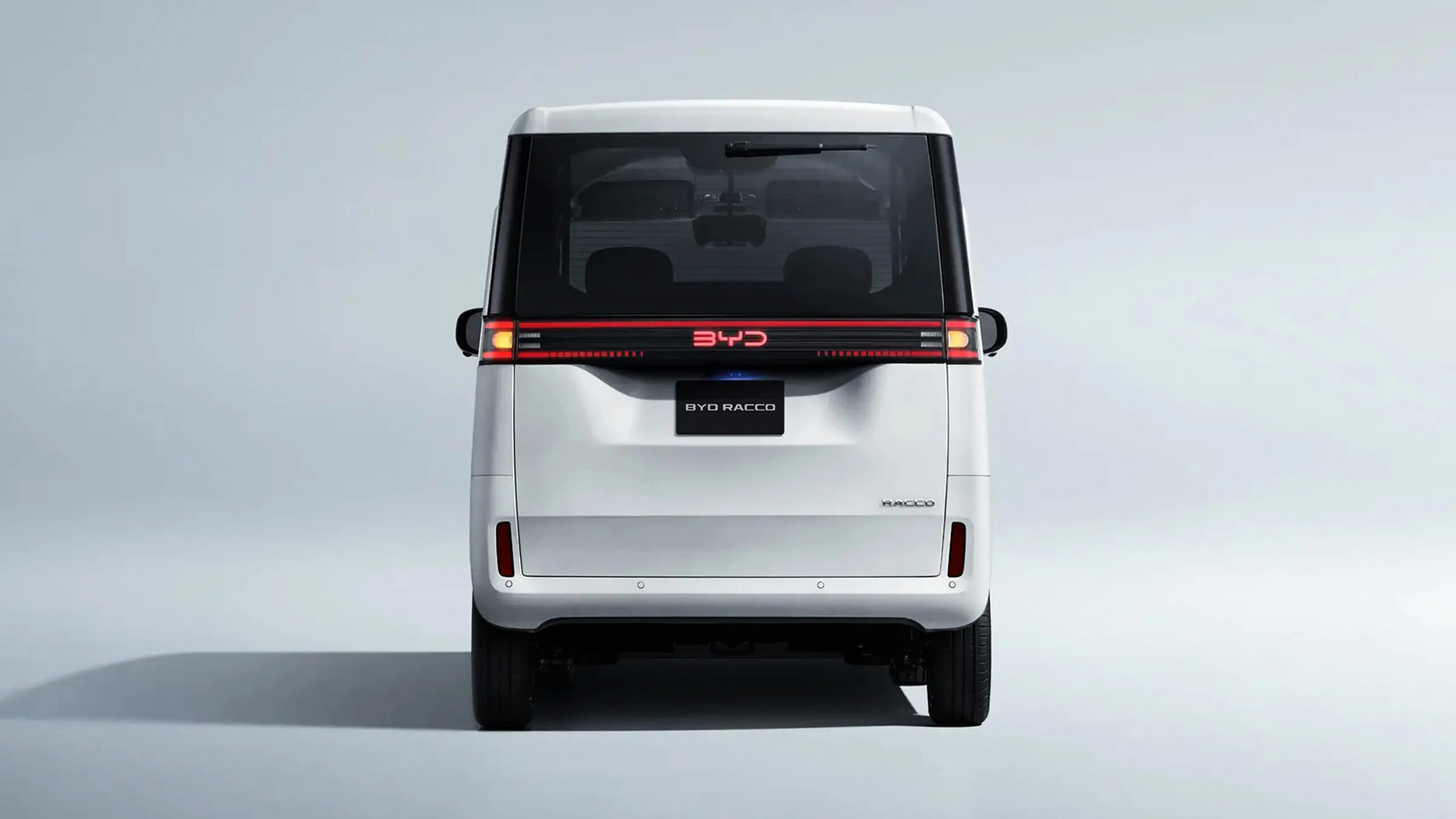 BYD Racco - задние статические сигналы