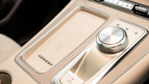 MGS6 EV - интерьер интерьера.