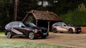 Mazda CX-80 - red and beige