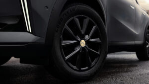 DS 3 Линия производительности - колесо из сплава.