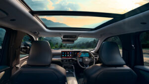 Renault Duster - салон в салоне.