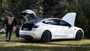 Tesla Model 3 Standard - rear