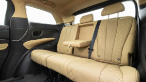 Новый Denza D9 - третий ряд задних сидений.